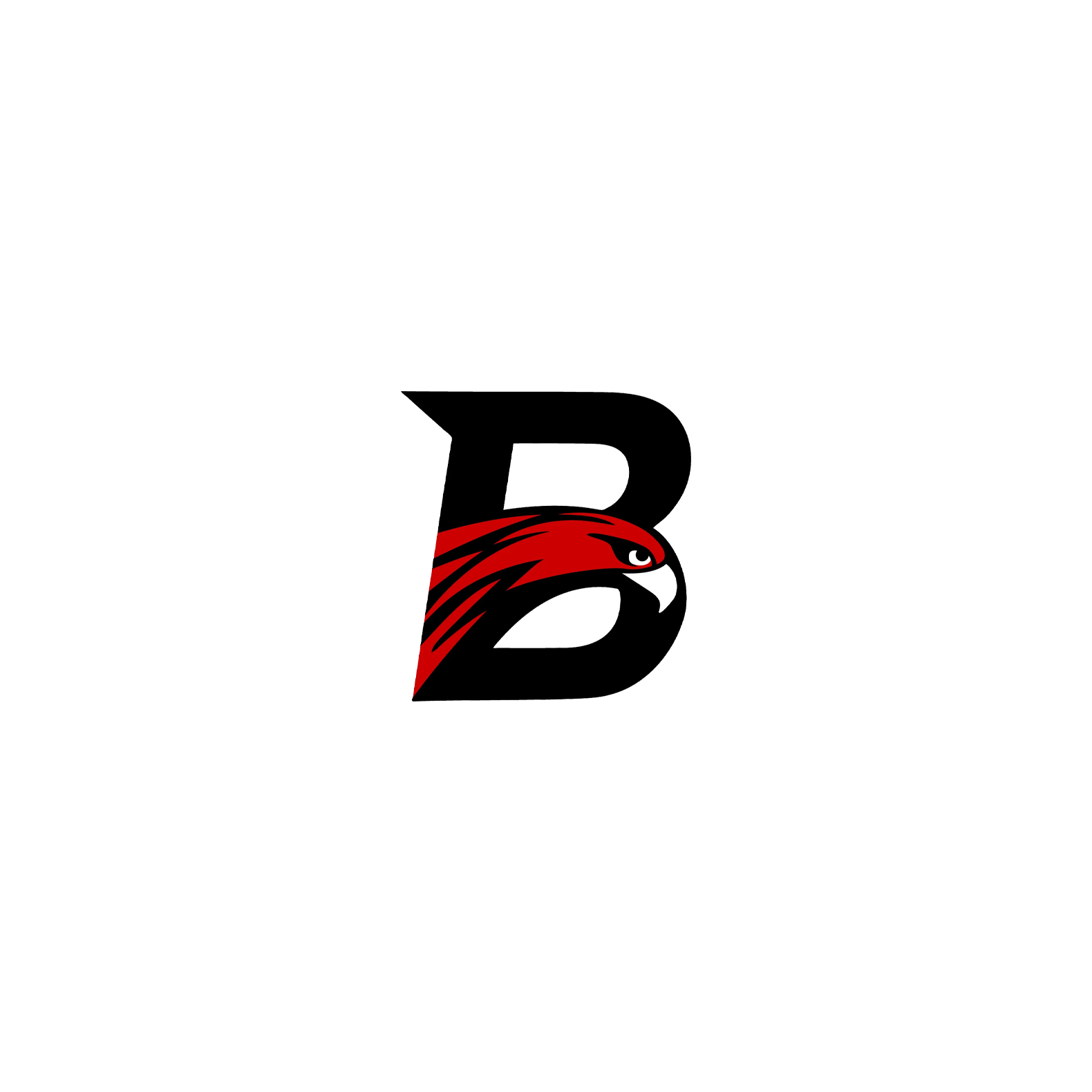 Cape Cod Sports Network